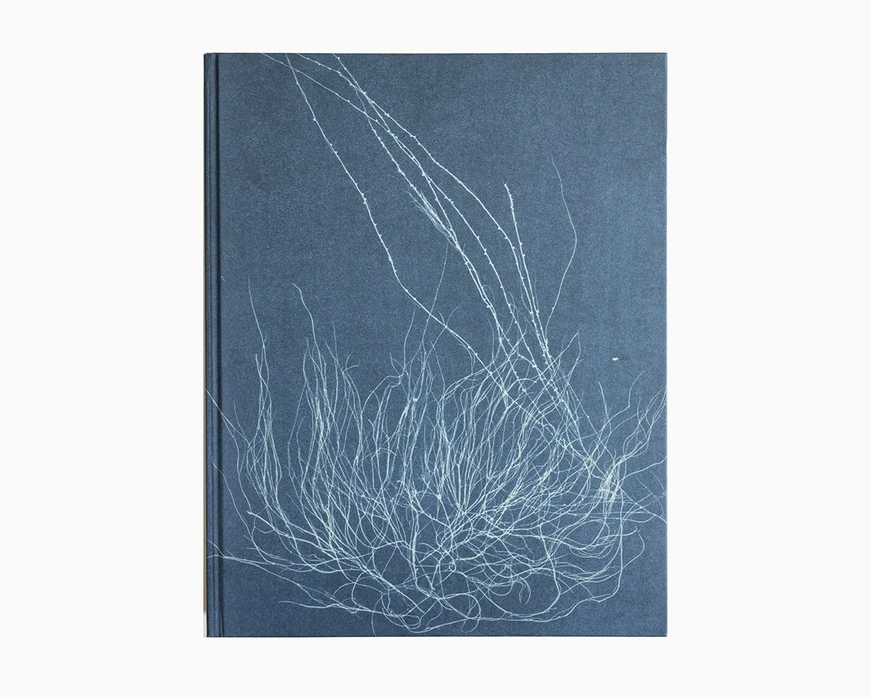 Instant Light: Tarkovsky Polaroids — bookdummypress